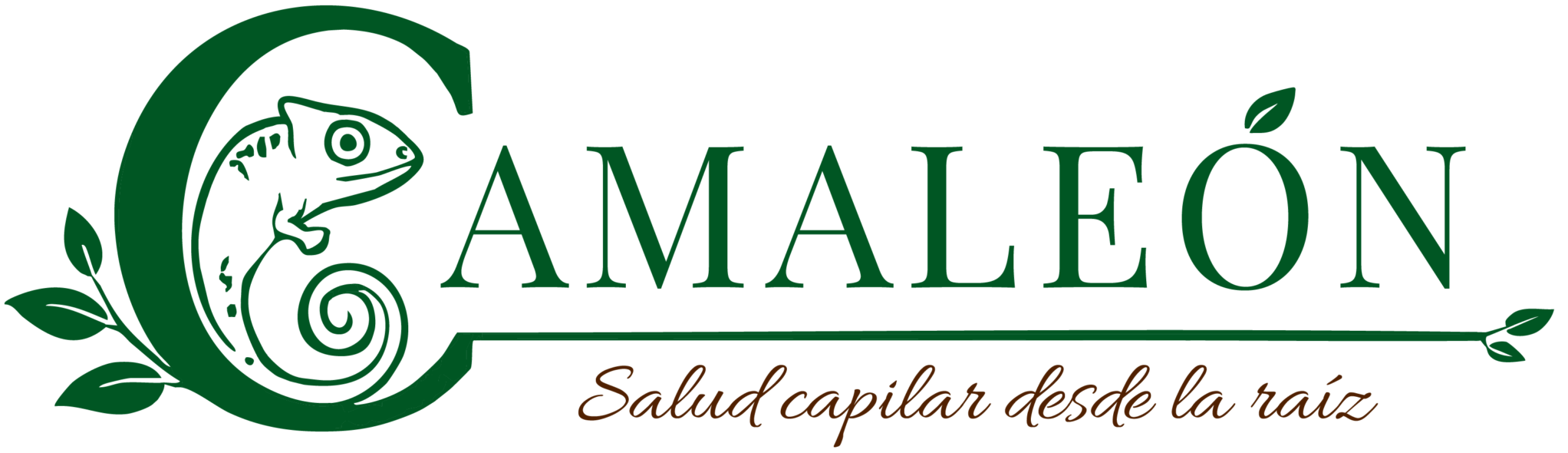 P Camaleon 08
